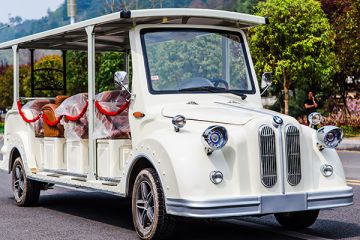 電動觀光車可以定制嗎-售樓看房好幫手「專菱」