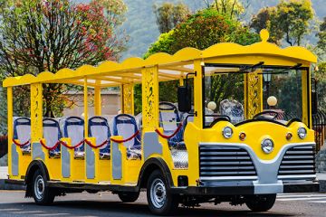 電動觀光車最新價格多少-觀光車電池詳解「專菱」
