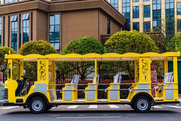 6座電動(dòng)觀光車-生態(tài)旅游重點(diǎn)「專菱」