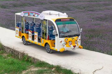 景區(qū)電動觀光車價(jià)格-好貨好保障「專菱」