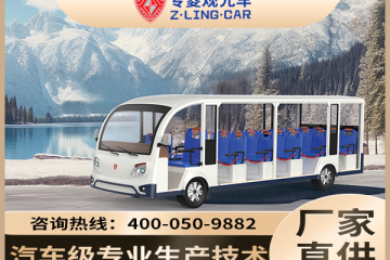 電動觀光車如何助力景區(qū)經(jīng)濟發(fā)展？用數(shù)據(jù)說話「專菱」