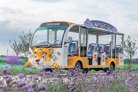 旅游電動(dòng)觀(guān)光車(chē)