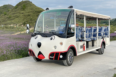 旅游觀光電動(dòng)車