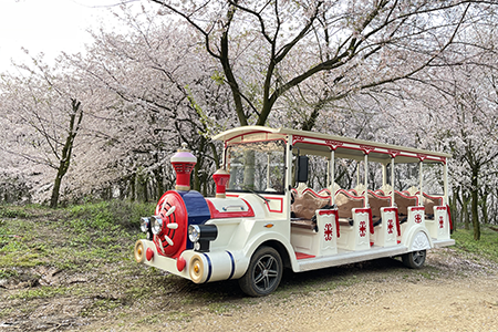 觀光電動(dòng)小火車