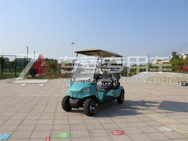 觀光車價(jià)格一般多少？