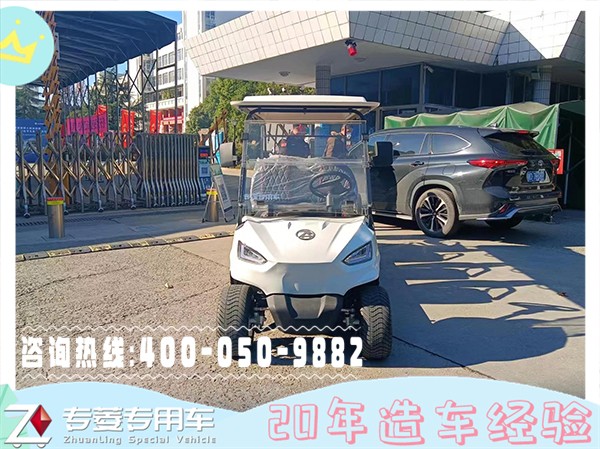 觀光車價格及圖片