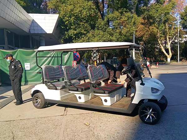 四輪電動(dòng)觀光車圖片大全有哪些