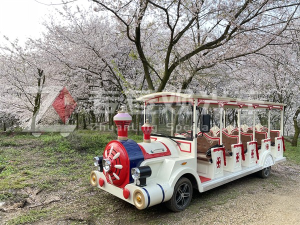 電動(dòng)游覽觀光車廠家
