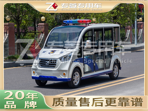 電動巡邏車十大排行？