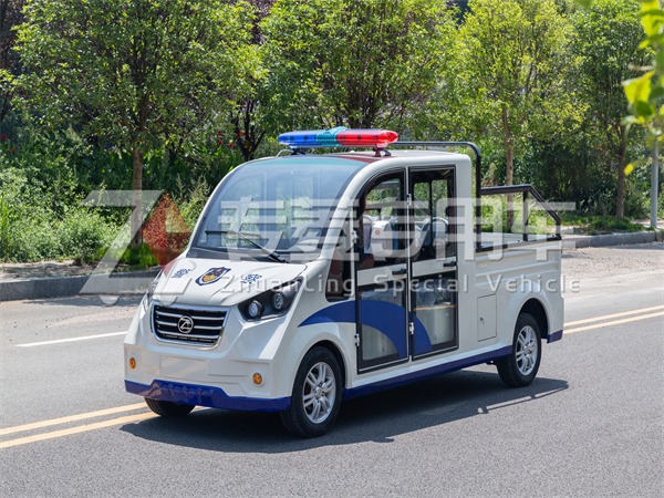 電動巡邏車十大排行？