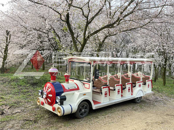 專菱觀光車售后滿意度：1 小時(shí)內(nèi)溝通技術(shù)方案